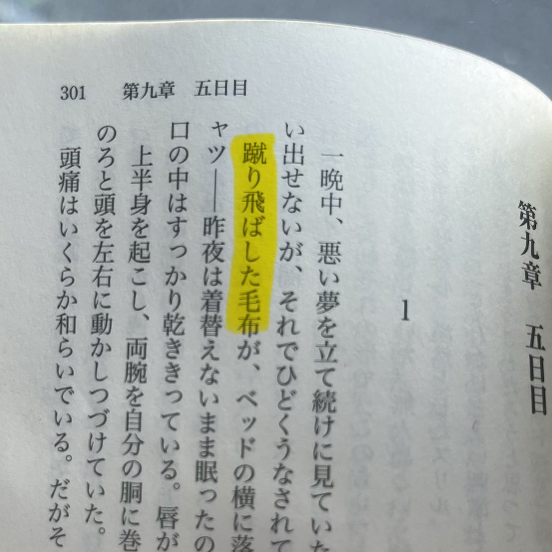 綾辻行人先生の名作「十角館の殺人」に
まさかの毛布ちゃん✨登場📖
(初版1991年の作品☝️)