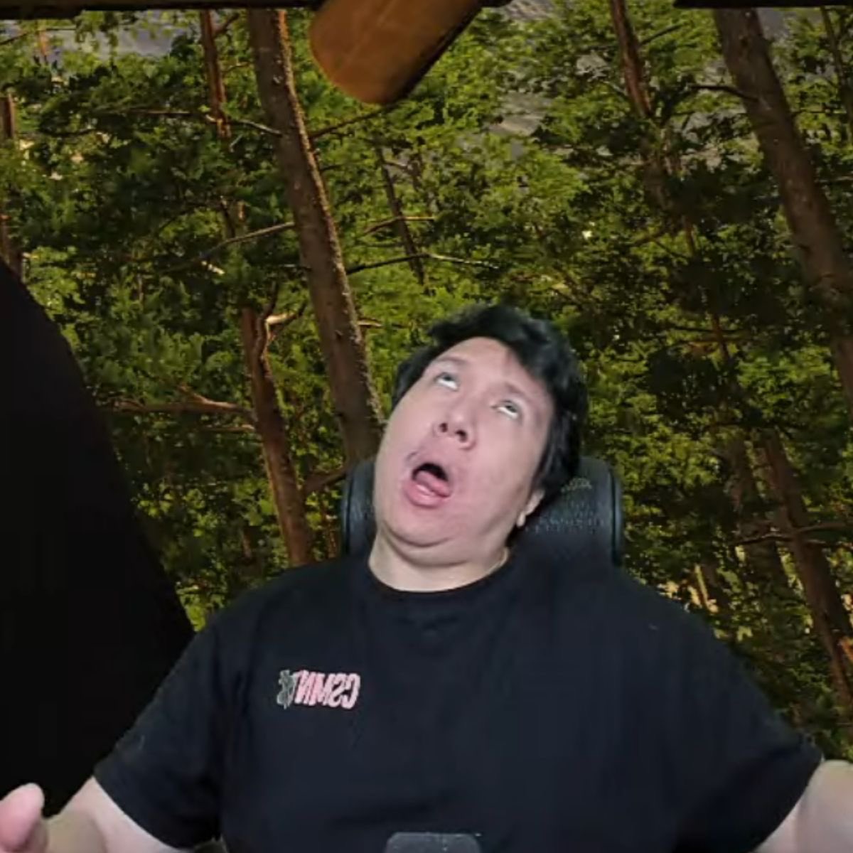 chestnut 760++🔬🩸🩹 tweet media