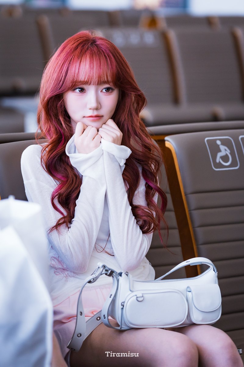 Tiramisu tweet media