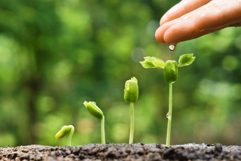 auscaths's tweet image. Teachers are beginning to notice more frequent small, hopeful 'green shoots' of faith emerging in students. It’s a quiet but encouraging shift, and one that seems to be gently growing. 
#Catholic #teachers #education 
australiancatholics.com.au/article/renais…