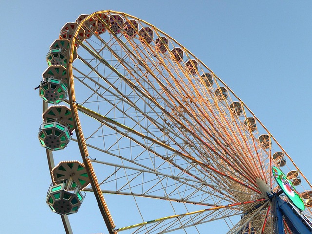 Lucas Cook tweet media