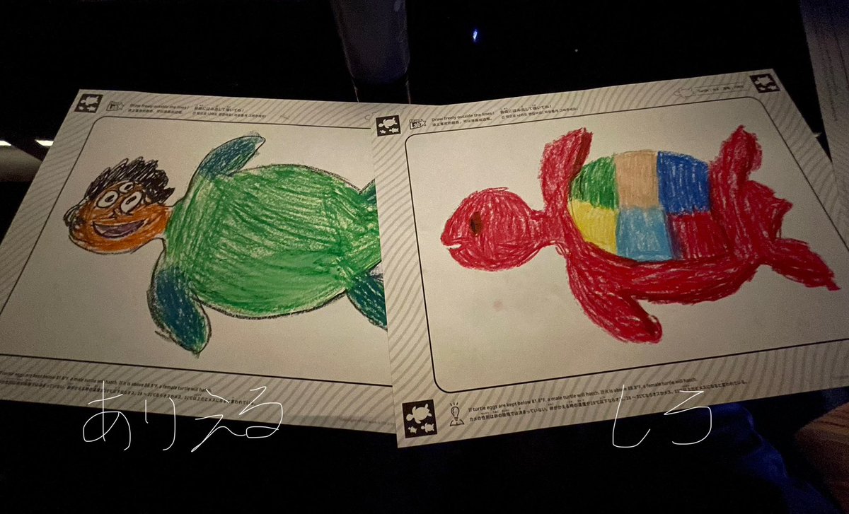 しろさん‼️ tweet media