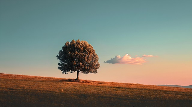 Martin Lee tweet media