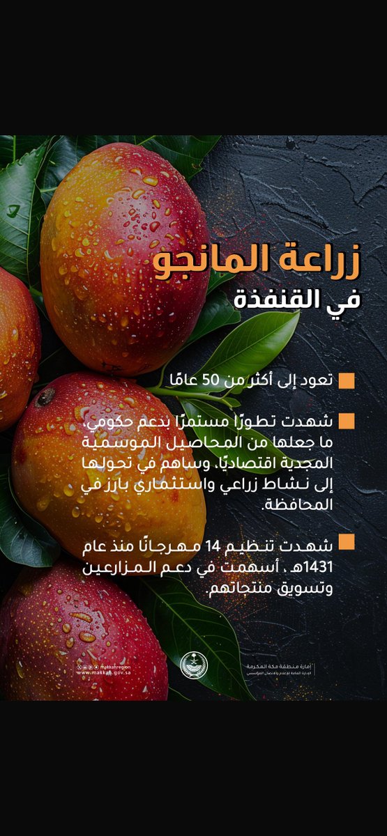makkahregion's tweet photo. المانجو في القنفذة..🥭
 5 عقود من الانتاج
 #مهرجان_المانجو_بالقنفذة https://t.co/qGyXY3h6QE