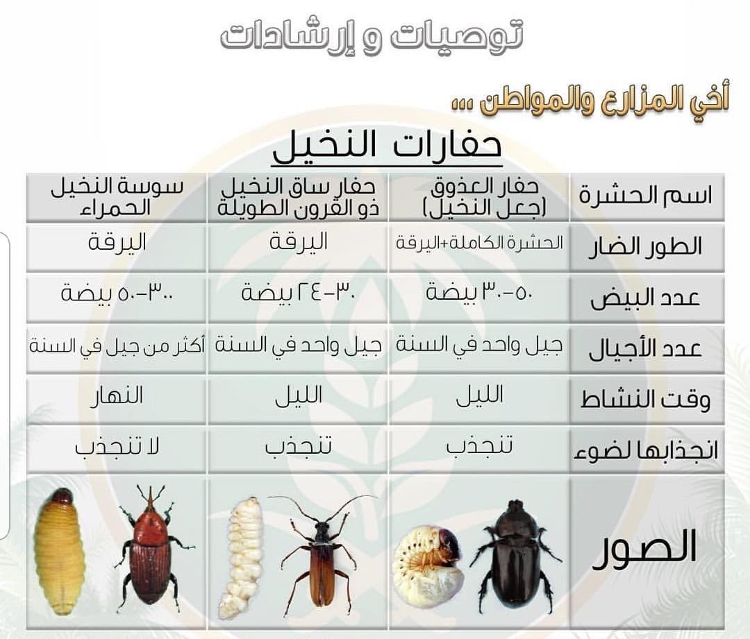 عبدالسلام السلمان tweet media