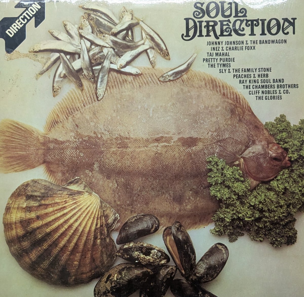 BAYSONIC tweet media