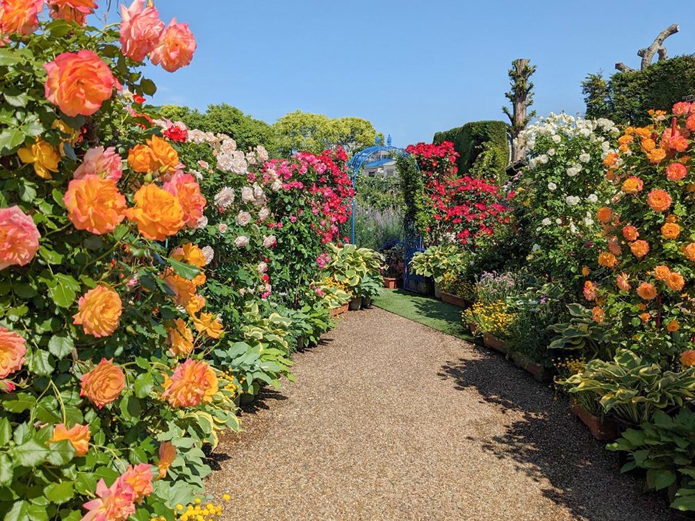 京阪電車おでかけ情報【公式】 tweet media