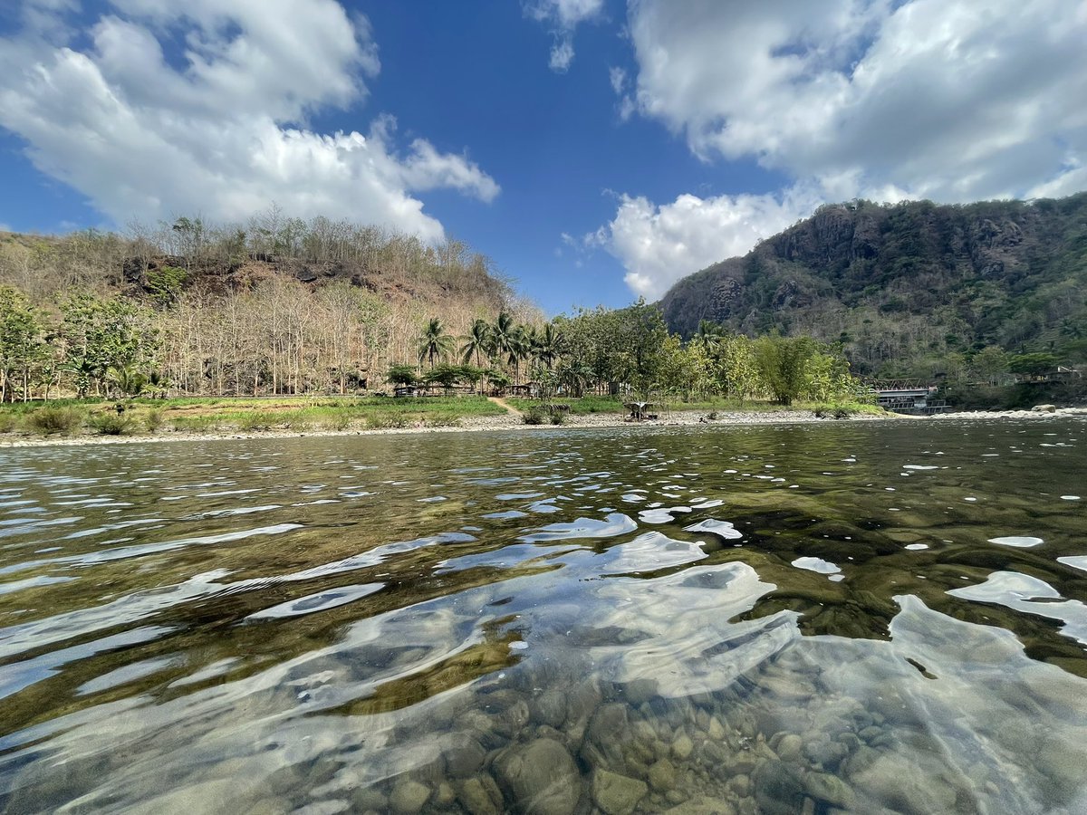 Mahasiswi Kupu-Kupu tweet media