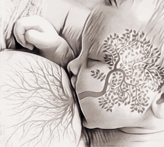 Sabelo ka Lindamkhonto vi tweet media