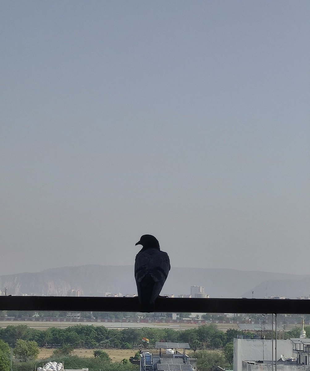 मन ❕ tweet media