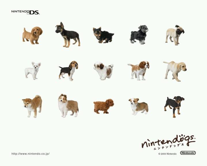 Y2K_DOTCOM's tweet photo. Nintedogs for the DS released April 21 2005 https://t.co/MJrQXOMzH9
