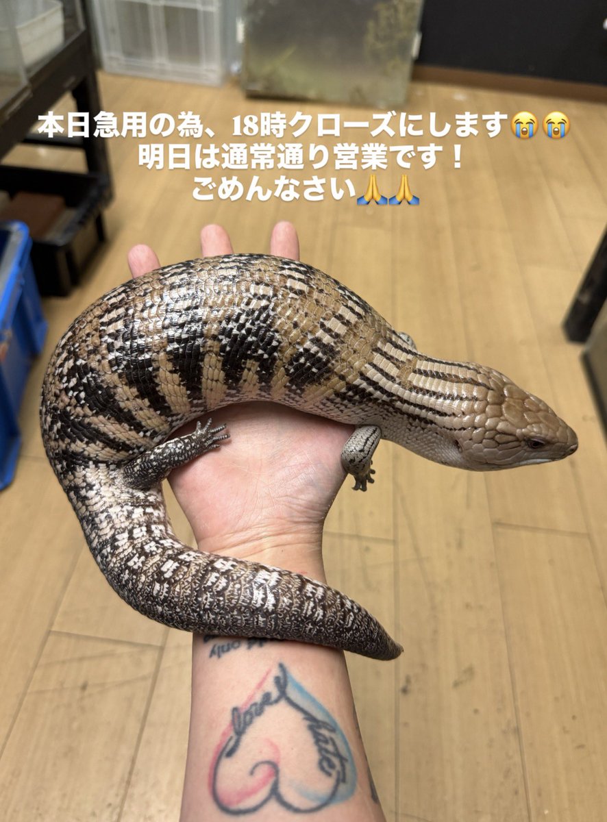 OG Hiroshima 五日市に移転しました! tweet media