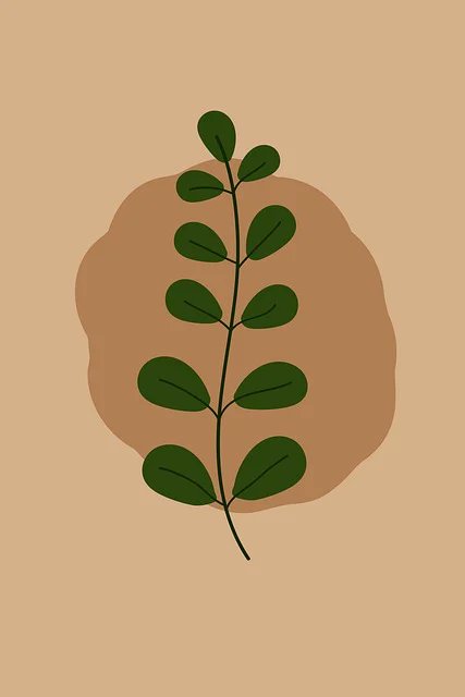 Jeremy Nelson tweet media