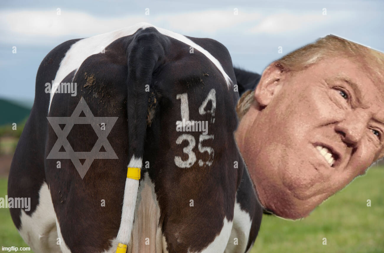 Anarchobagged's tweet image. #NeverForget
#MakeIsraelGreatAgain