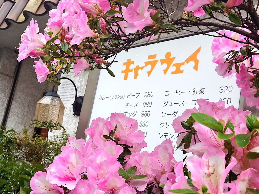 ヒダリ tweet media