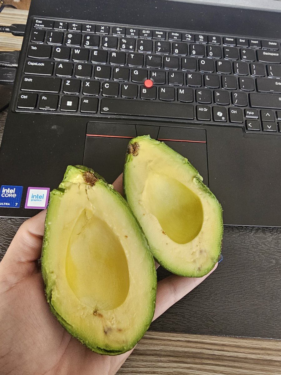 CheekyGat84's tweet photo. Home grown avos.. mense dit is lekker hoor!
#doomsDayPrepper of note. Ek kan atleast avos groei ๐คฃ๐คฃ๐คฃ https://t.co/q2BAzXlv0s