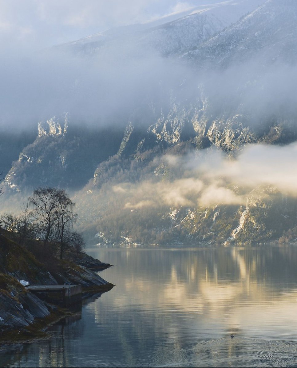 Scandinavian Aesthetics tweet media