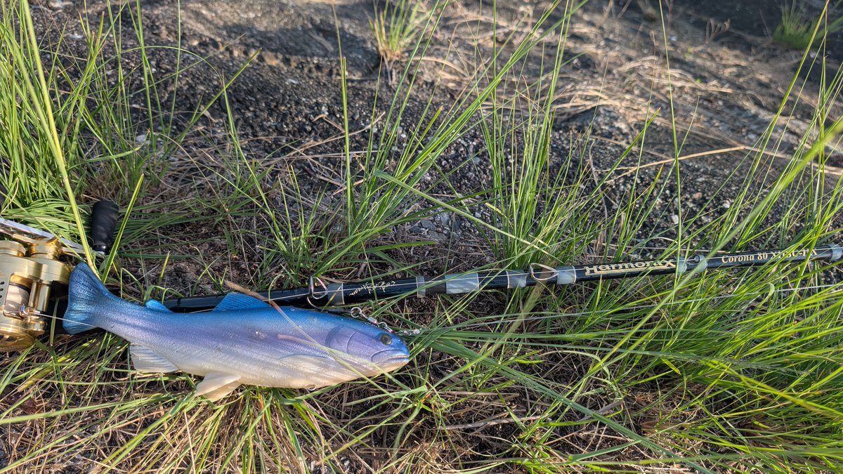 くすのせだいご tweet media