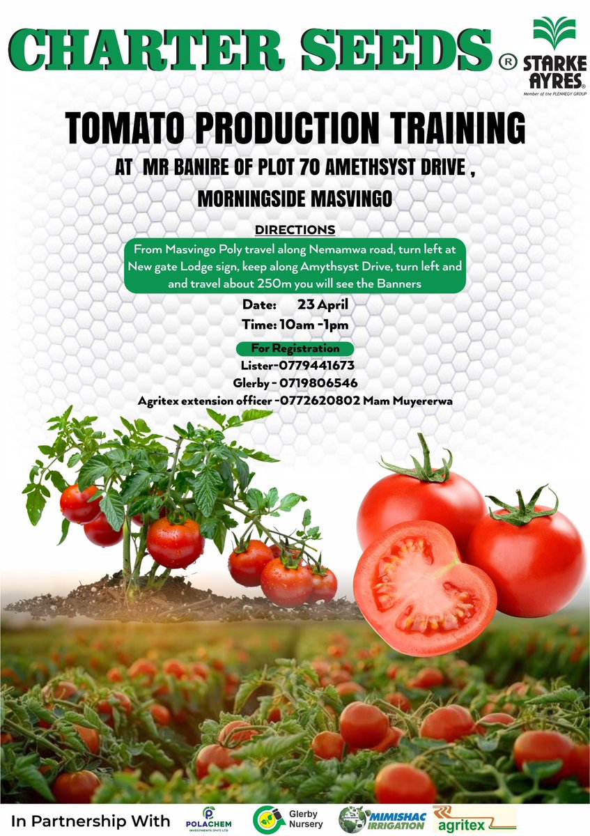 Divah Phiri tweet media