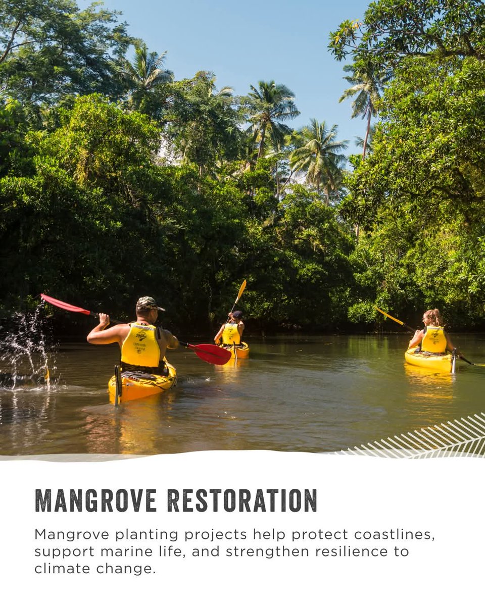 RepPlusUK's tweet image. Protecting what we love! From reef conservation to community-led initiatives, Samoa is committed to preserving our natural beauty for generations to come.

#DiscoverBeautiful #Samoa #BeautifulSamoa #Travel #PacificIsland #BucketListDestination #RepPlusClient