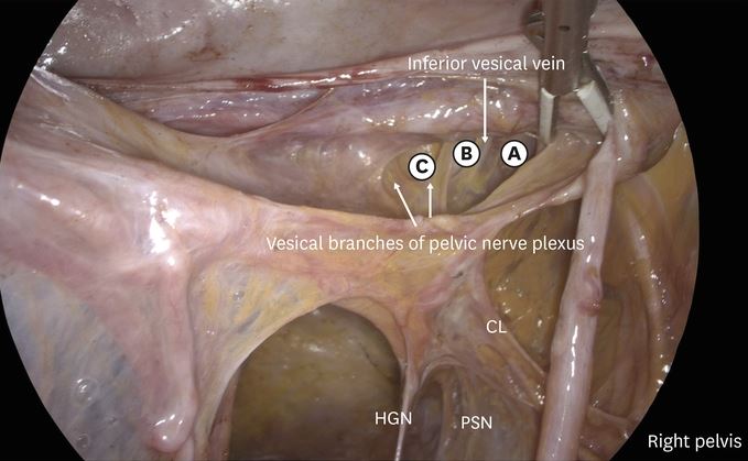 Journal of Gynecologic Oncology tweet media