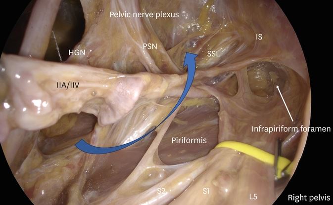 Journal of Gynecologic Oncology tweet media