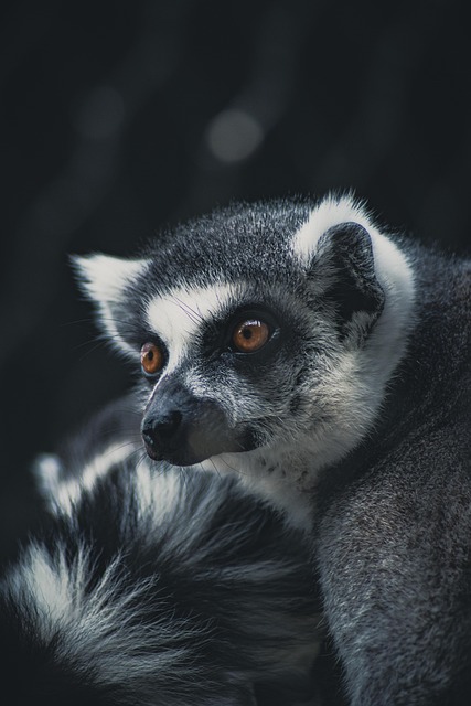 Minnie Caldwell tweet media