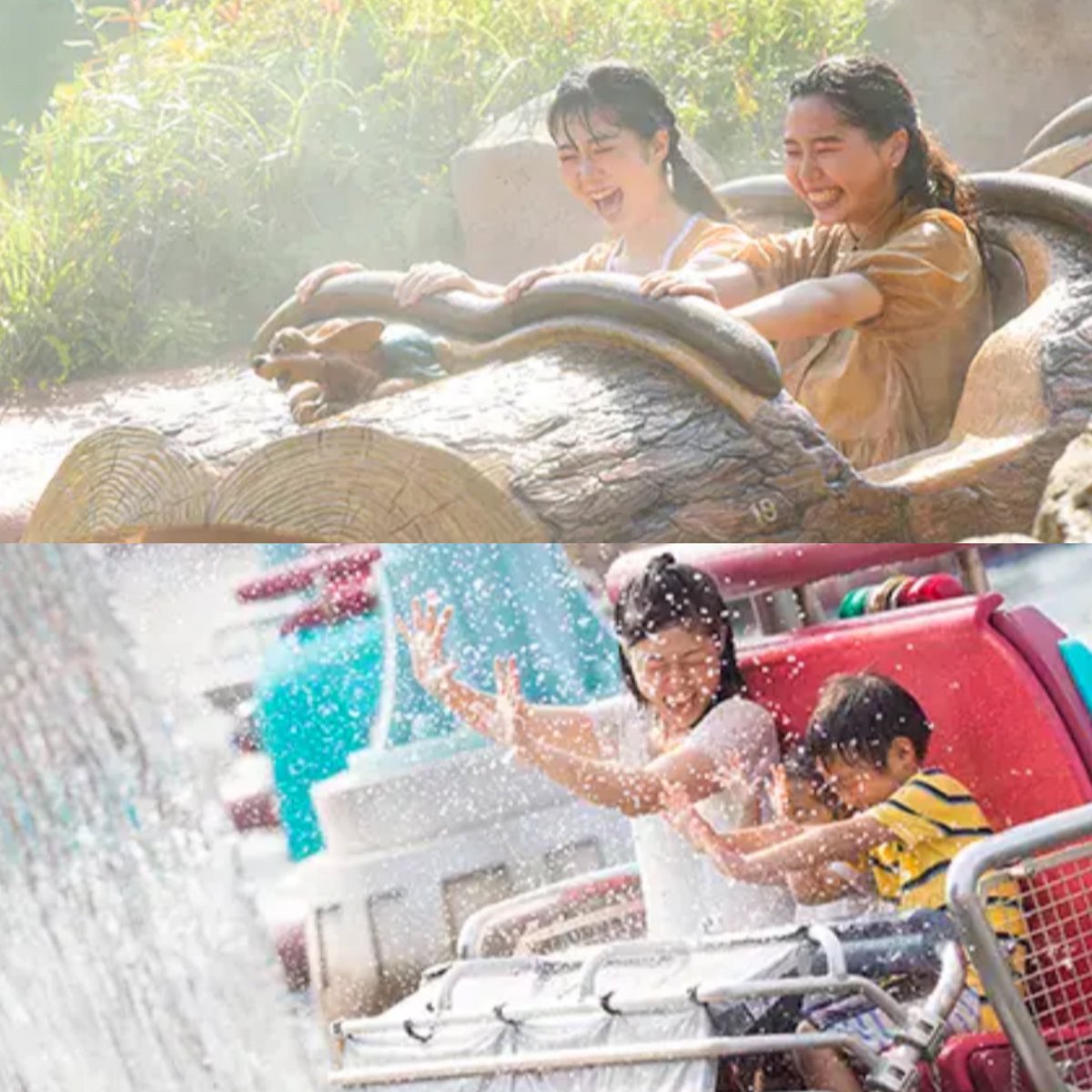 どりあ@ディズニー情報 tweet media