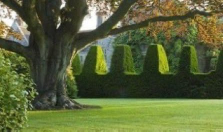 thegardenvsw's tweet image. April ‘54  Last month another of the great #gardens of England was handed over into the care of the National Trust. I refer to Nymans near Handcross in West Sussex. #gardening    nationaltrust.org.uk/visit/sussex/n…