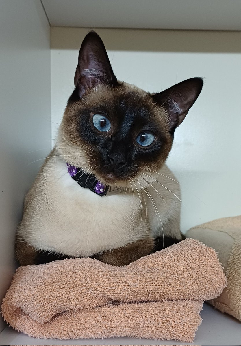 Naira Rodríguez ♑ tweet media