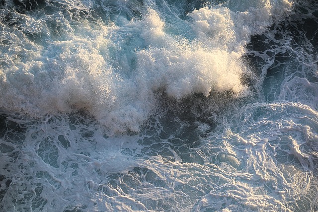 Noah White tweet media