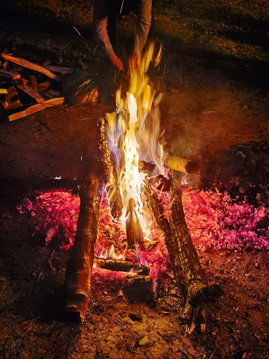 Bérénice Dadvisard tweet media