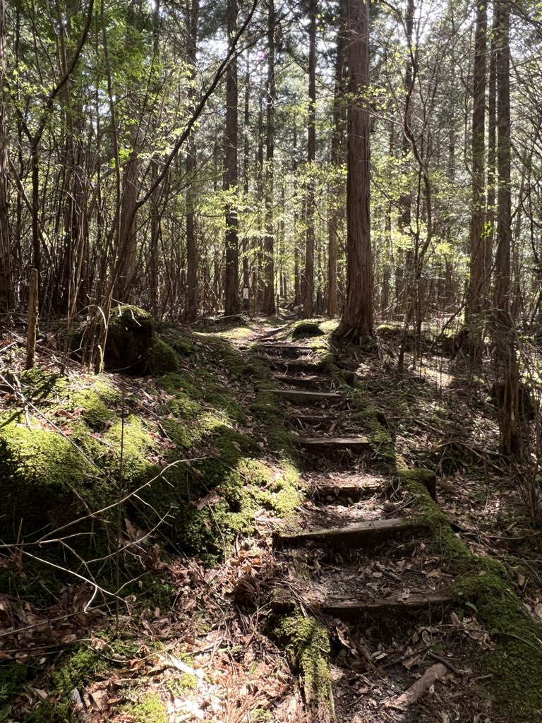 kinokoノコ tweet media