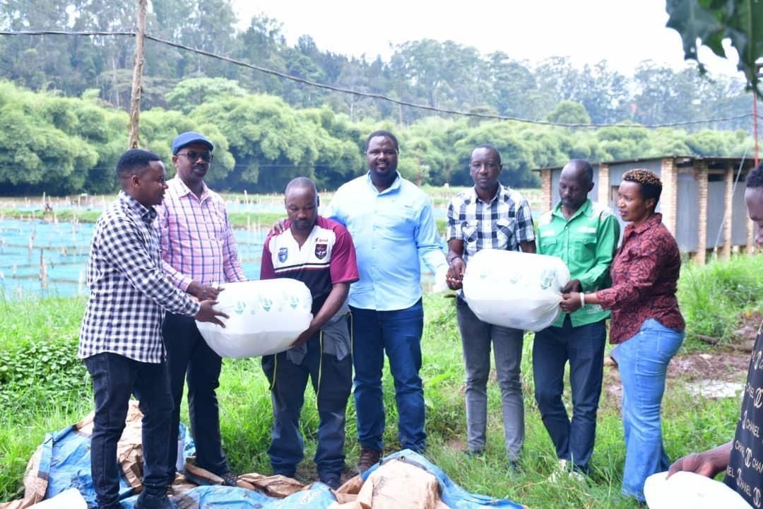 Kivu Choice tweet media