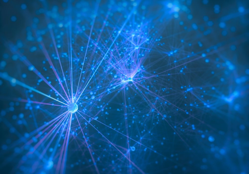 Data Management Insight tweet media