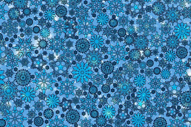 Bobbie Perez tweet media