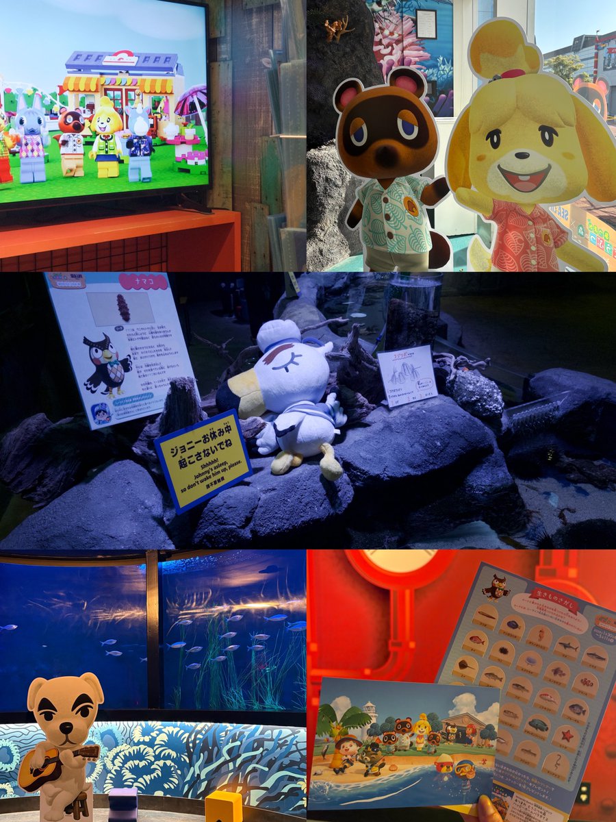 𝘮𝘪𝘤𝘩𝘶 tweet media