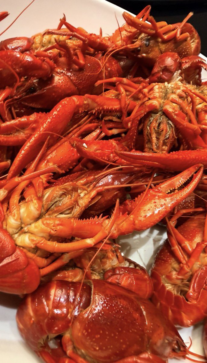 AppleMim Fanclub TH tweet media