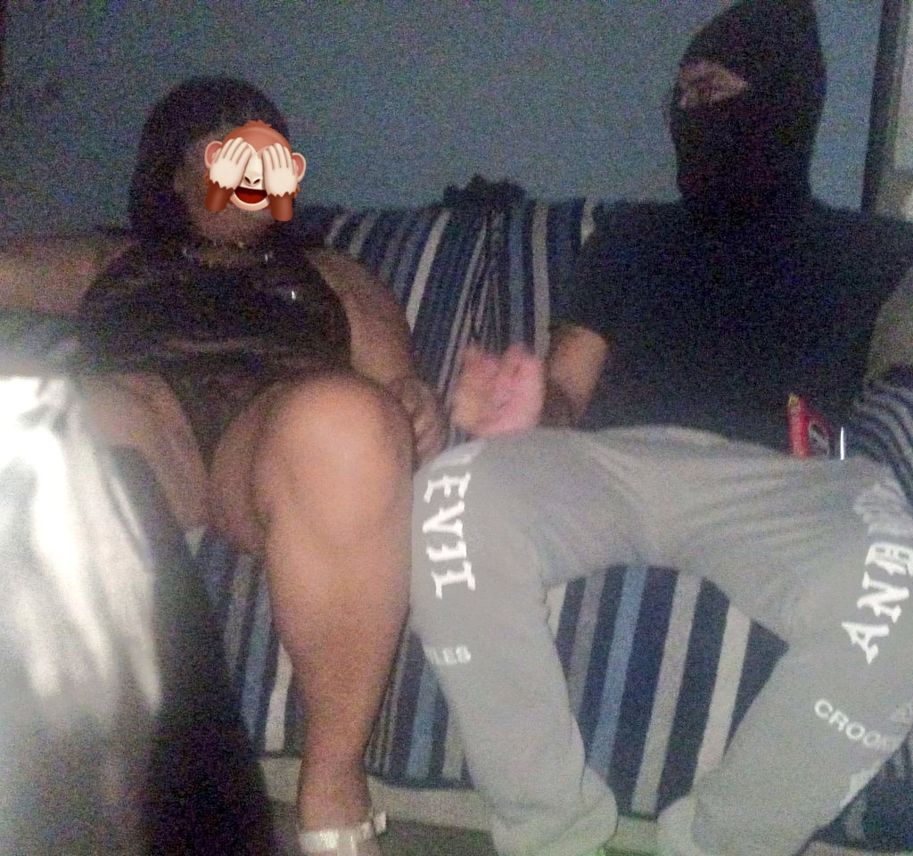 420chihuahua tweet media