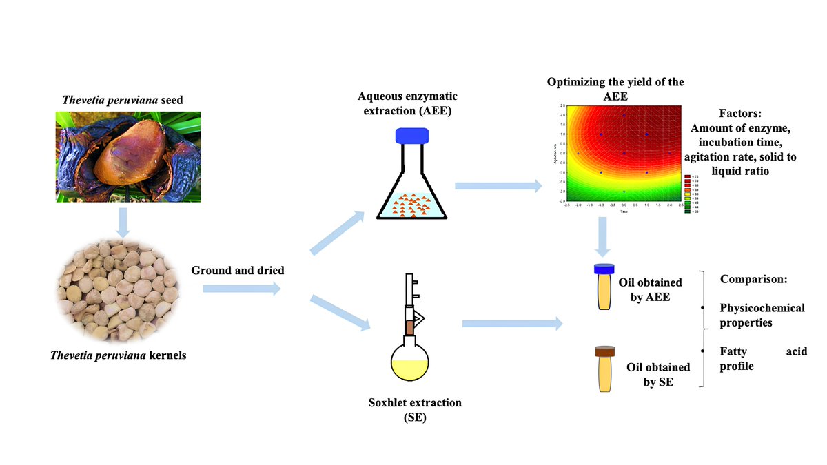 Catalysts_MDPI's tweet image. 💡Feature Paper 📯Highly Recommended
Evaluation of Aqueous Enzymatic Extraction for Obtaining #Oil from Thevetia peruviana #Seeds

🔗mdpi.com/3377710

🖊️by: Luis Domínguez-Pérez et al.