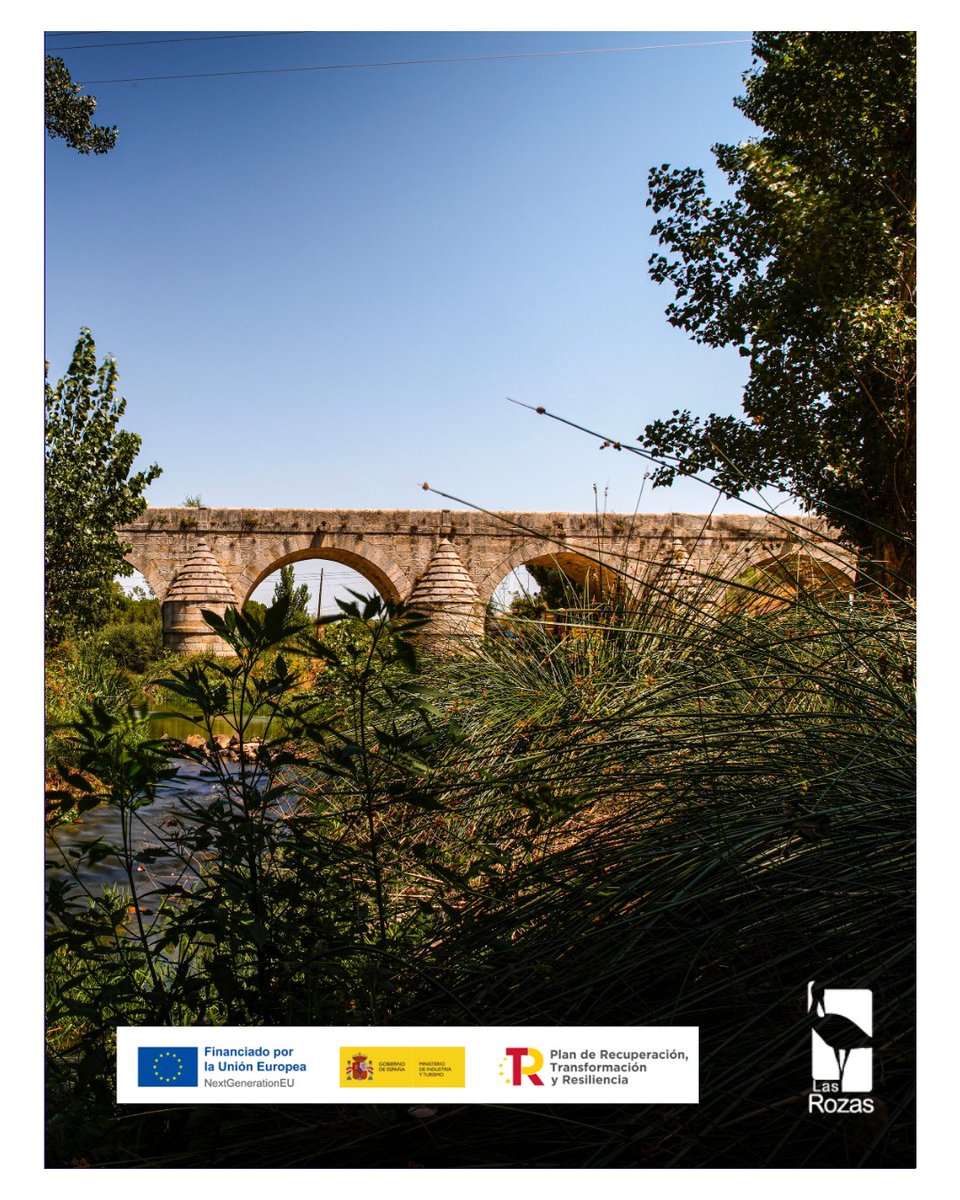 Ayuntamiento de Las Rozas tweet media
