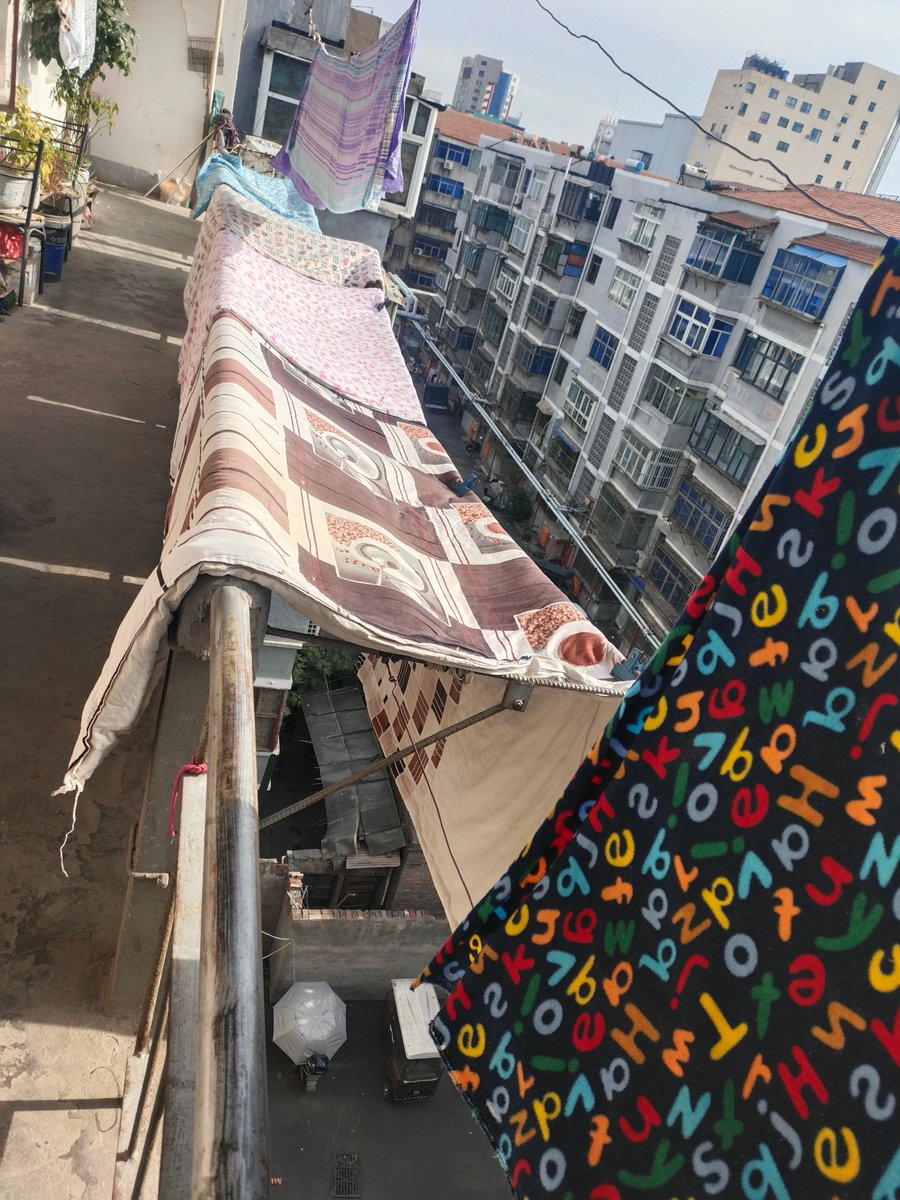 정새담 tweet media