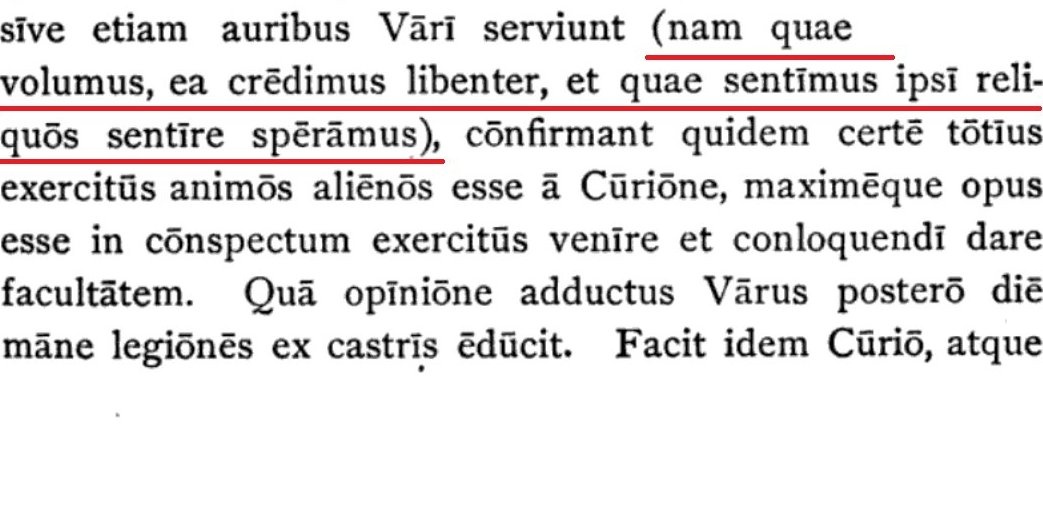 ラテン語さん tweet media