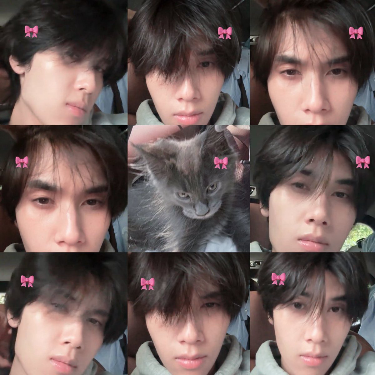 𝗺𝗲𝗼𝘄🐈‍⬛🐻‍❄️🎀˚ ༘⋆ tweet media