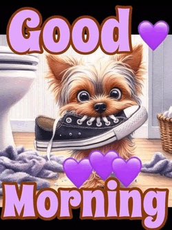 Donna Heintzman tweet media