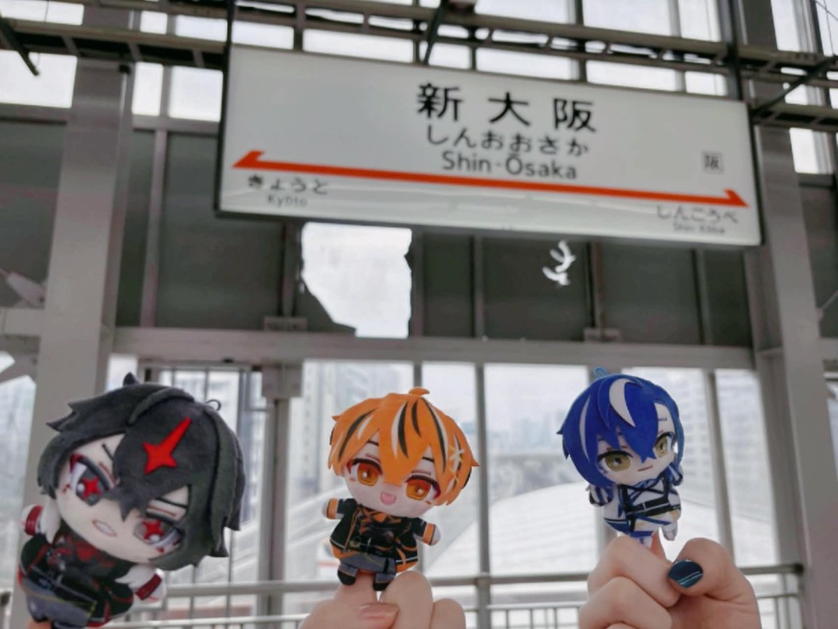 きぃ▷◀🐧💙 tweet media