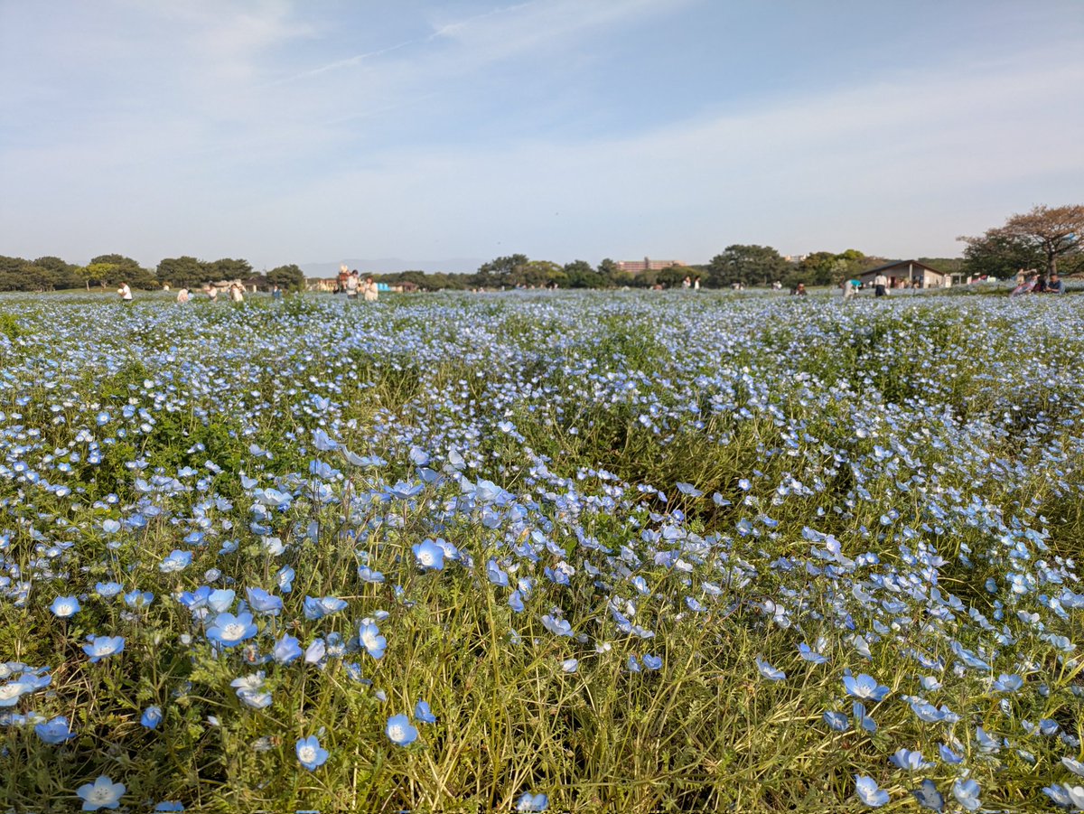 same0609🦀 tweet media