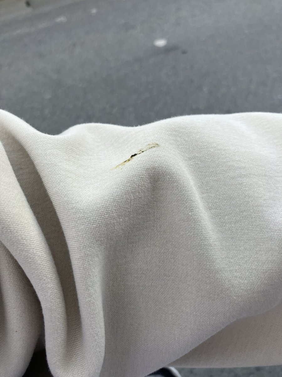鳥にうんこかけられた😢
流石にこれはとほほでしょ