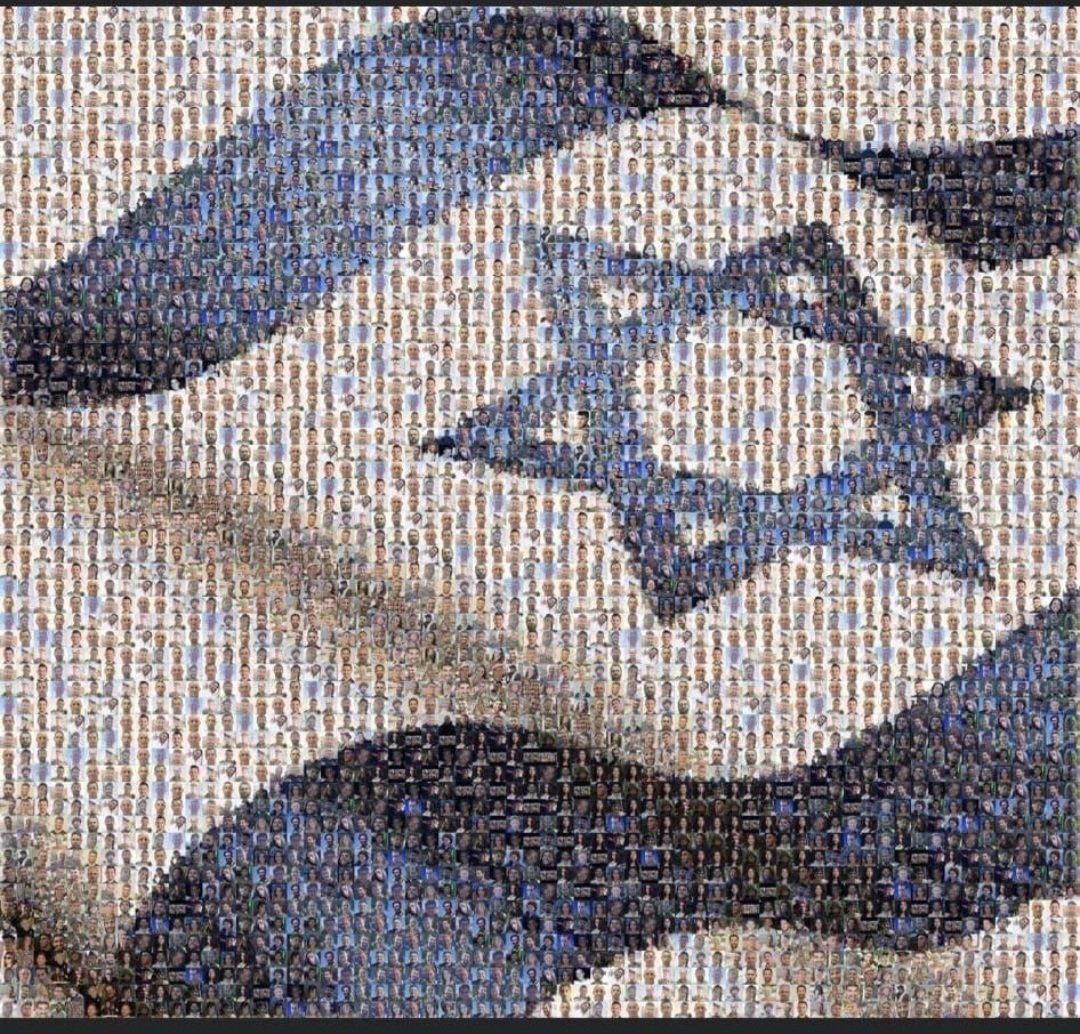 Eli Lipshitz 🇮🇱 tweet media