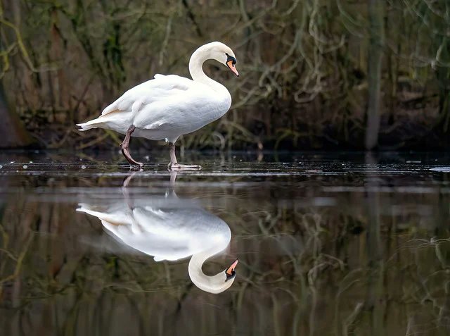 Julie Alexander tweet media